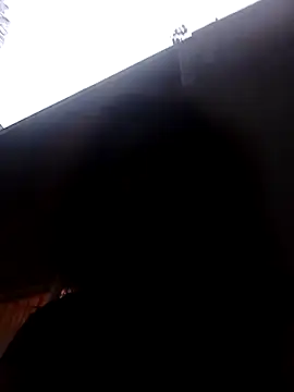 RFeltomWhitJ online show from 11/08/25, 04:40