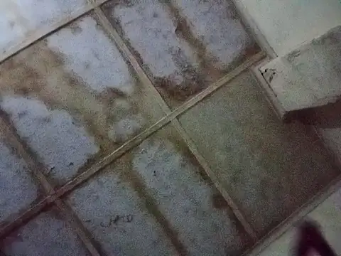 RFeltomWhitJ online show from 11/17/25, 01:11