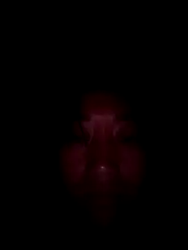 Zhan99999 online show from 10/15/25, 11:21