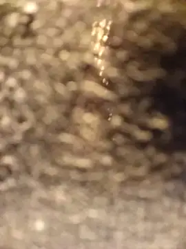 Venessa online show from 12/05/25, 01:14