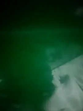 daisylouis online show from 04/03/26, 12:14