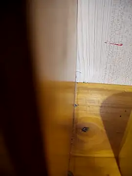 daisylouis online show from 04/21/26, 01:07