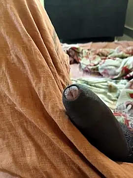 vichuhot online show from 09/26/25, 08:29