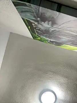 aavrdvh33 online show from 11/27/25, 07:16