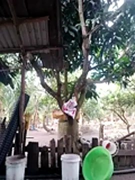 BigBoobs186 online show from 10/18/25, 03:09