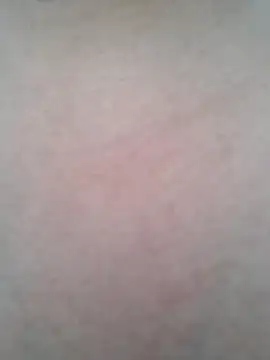 BigBoobs186 online show from 10/20/25, 01:28