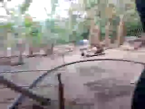 BigBoobs186 online show from 11/10/25, 10:03