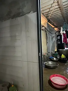 ThiHa003 online show from 04/01/26, 12:55