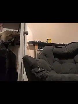 Snapshot of Cnutt310 chatting on 12/14/25, 03:50 Cnutt310 online show from 12/14/25, 03:50