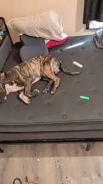 Cnutt310 online show from 03/02/26, 12:02