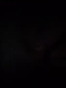 Cnutt310 online show from 04/23/26, 07:27