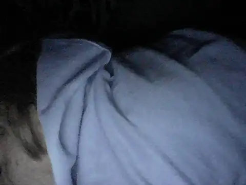 Twoslipperywhenwett online show from 11/17/25, 01:39