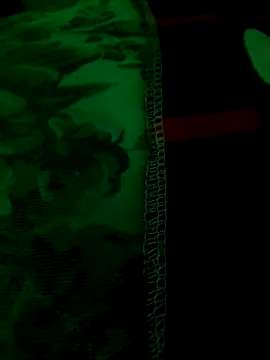 The-youngbigd online show from 04/26/26, 03:53