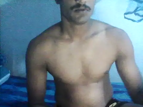 Bullboy8in online show from 11/13/25, 05:56