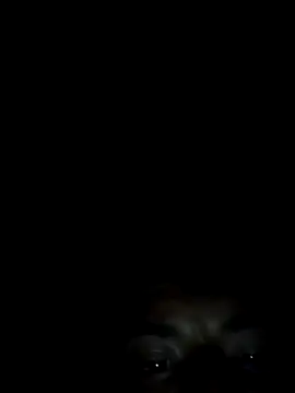 Xhimo5 online show from 09/28/25, 08:31