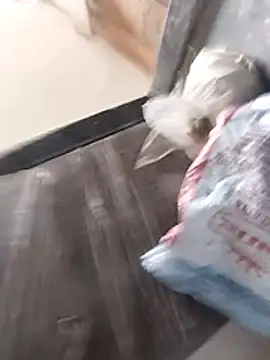 Snapshot of Wet_BunnyFun chatting on 02/25/26, 10:03 Wet BunnyFun online show from 02/25/26, 10:03