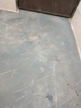 Wet BunnyFun online show from 04/13/26, 06:02