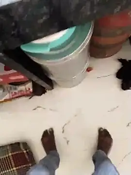 Wet BunnyFun online show from 05/13/26, 11:29