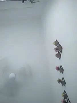 Wet BunnyFun online show from 05/19/26, 02:29