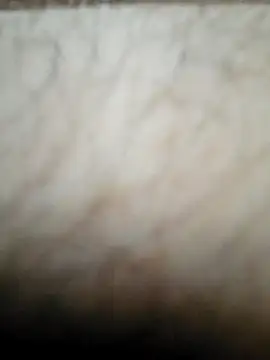 Snapshot of nikads0 chatting on 05/19/26, 01:39 nikads0 online show from 05/19/26, 01:39