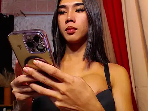 TRANSPORNIDOL online show from 11/25/25, 04:56