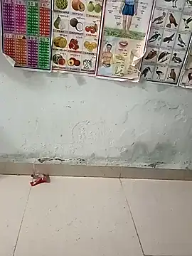 kajalbhabhi44 online show from 11/24/25, 07:52