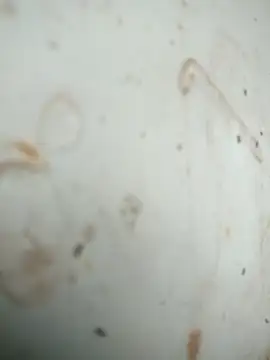 Mounstro3 online show from 11/28/25, 04:42