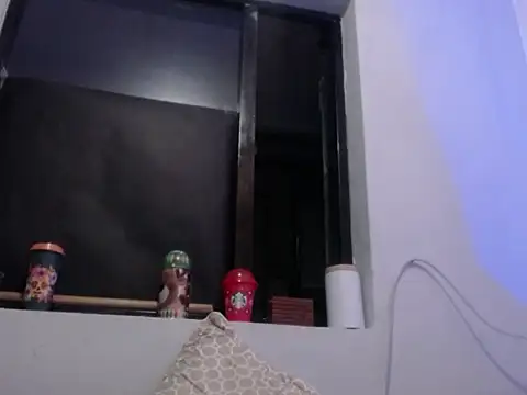 Snapshot of xalejo_max chatting on 11/14/25, 05:06 xalejo max online show from 11/14/25, 05:06