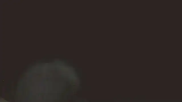 Snapshot of pietje1991 chatting on 05/16/26, 11:36 pietje1991 online show from 05/16/26, 11:36