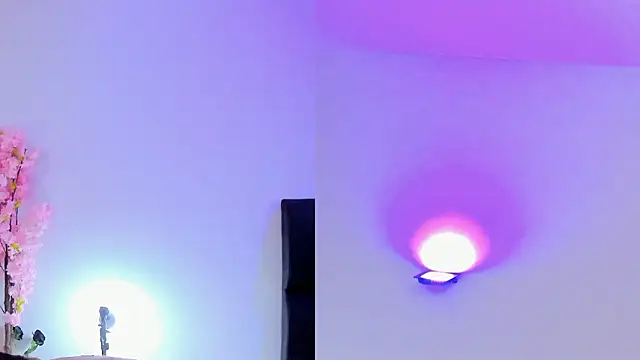 maily zanss online show from 02/01/26, 07:56