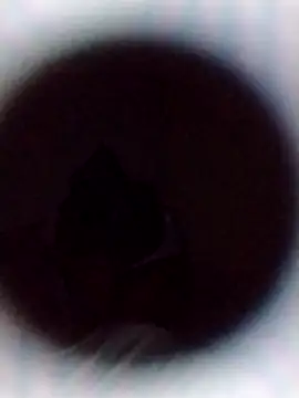 Cumnowd1 online show from 10/19/25, 01:28