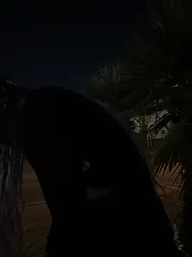 TranSexualJade95 online show from 11/01/25, 10:06