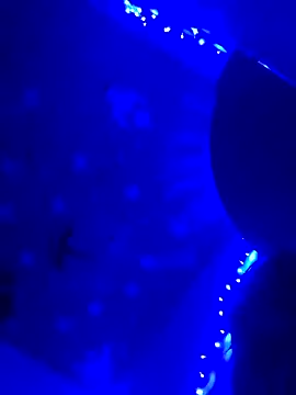 StatedEgalite online show from 04/24/26, 03:09