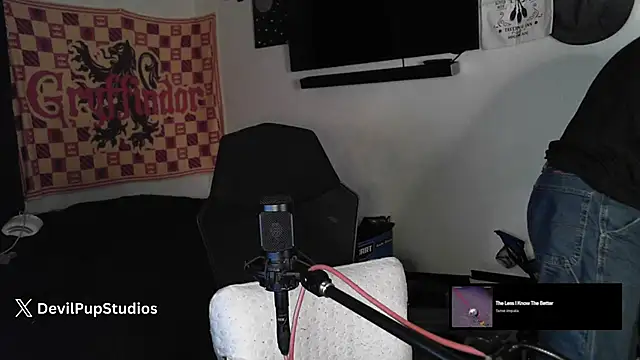 DevilPup75  online show from 11/06/25, 03:29