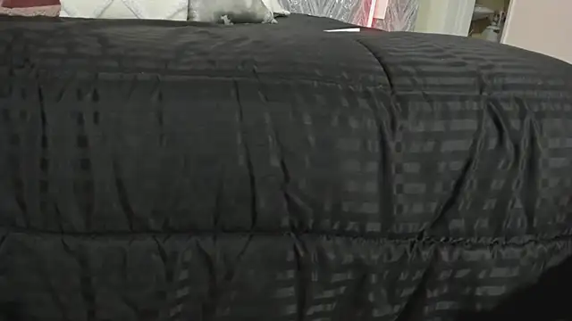 MartinaRizzi online show from 02/21/26, 08:43