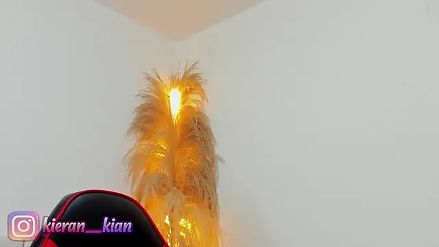 Kieran kian online show from 04/19/26, 03:55