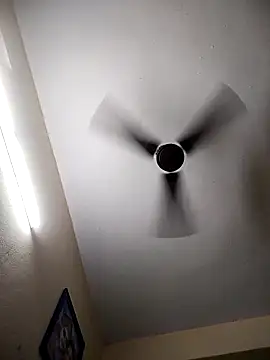 Devi-with-Ram online show from 11/29/25, 02:42