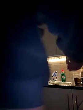 Michel huge online show from 11/27/25, 08:27