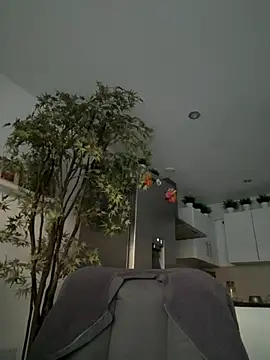 Michel huge online show from 04/06/26, 07:04