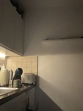 Michel huge online show from 04/21/26, 03:02