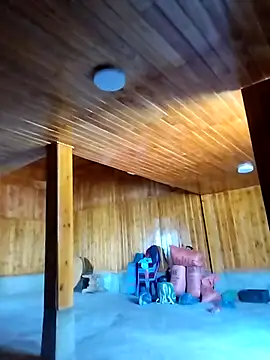 Tiyir597 online show from 12/01/25, 03:55