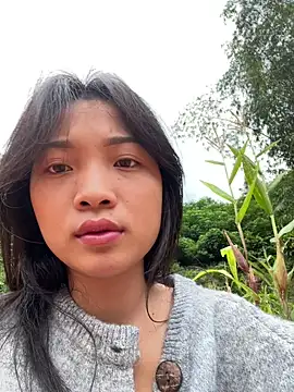 Phayphay77 online show from 11/03/25, 08:37