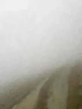Snapshot of Phayphay77 chatting on 01/15/26, 08:08 Phayphay77 online show from 01/15/26, 08:08