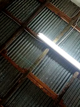 Snapshot of Fizozoo chatting on 09/21/25, 04:58 Fizozoo online show from 09/21/25, 04:58