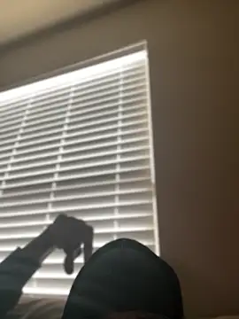 Snapshot of Dolla-Billlz chatting on 03/15/26, 02:45 Dolla-Billlz online show from 03/15/26, 02:45