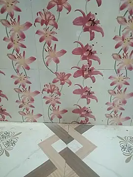 Snapshot of Meenaksi-singh chatting on 10/04/25, 05:16 Meenaksi-singh online show from 10/04/25, 05:16