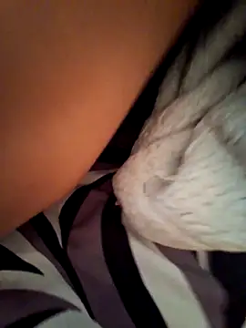 Snapshot of BooingCabalist chatting on 03/10/26, 05:45 BooingCabalist online show from 03/10/26, 05:45