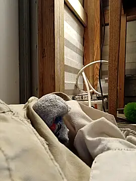 ShawnandDani7074 online show from 02/17/26, 11:33