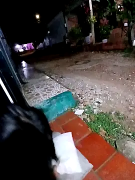 jeltsin3-25 online show from 02/24/26, 01:58