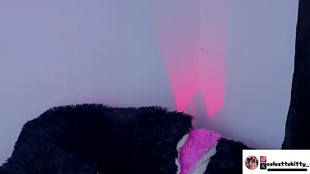 celestte evans 1 online show from 02/08/26, 06:17